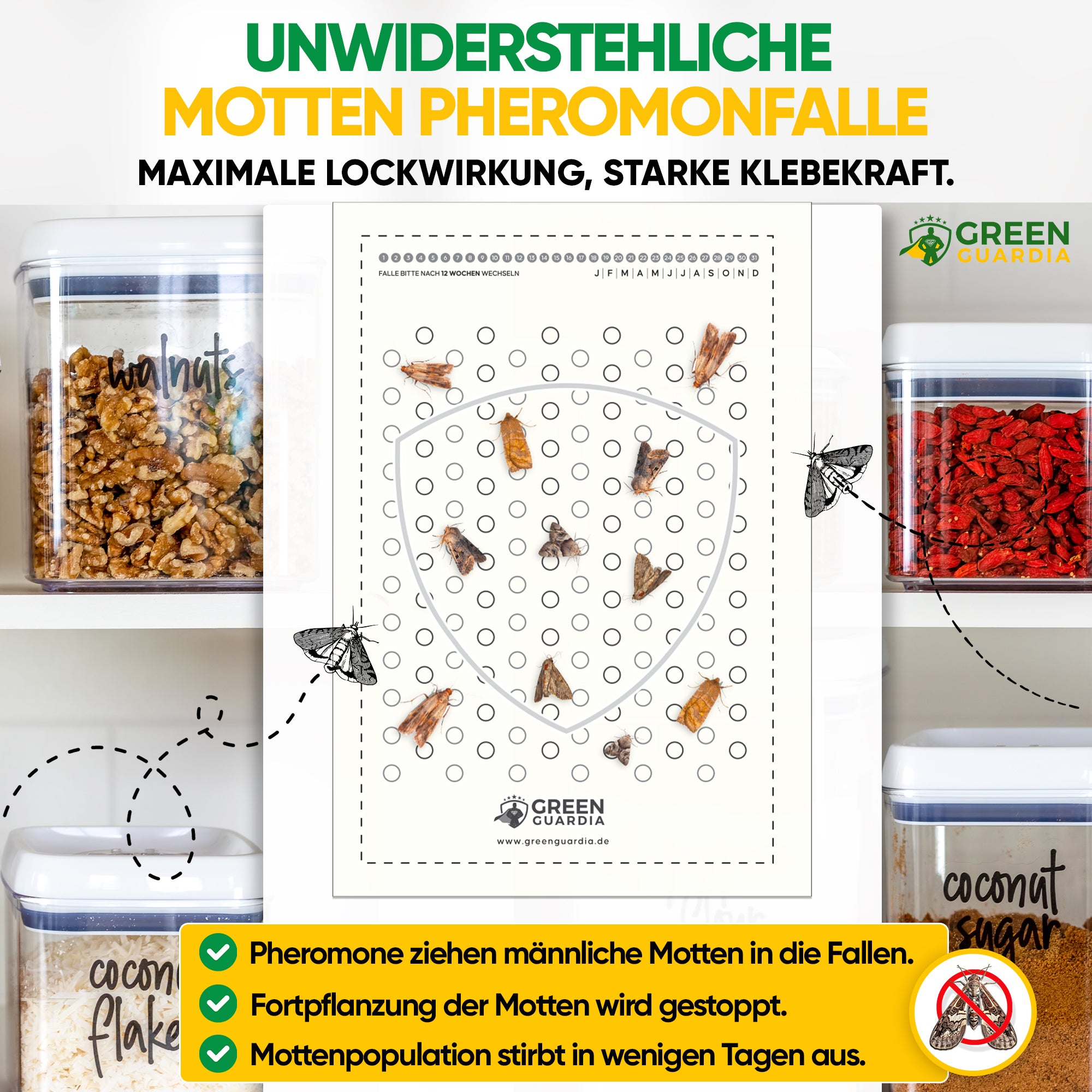Piège à mites alimentaires (pack de 10)