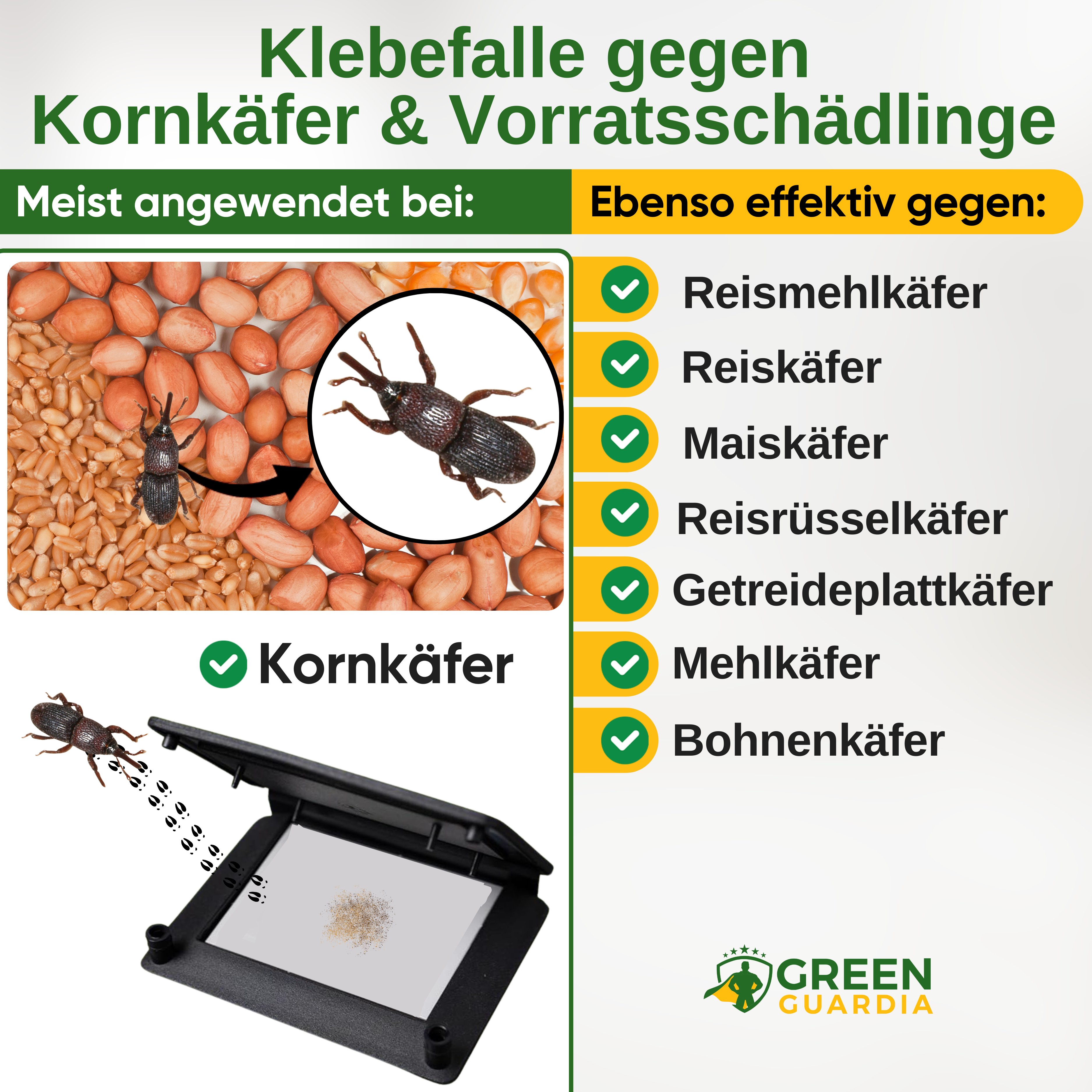 Piège à cucujides des grains avec attractif à base de phéromones