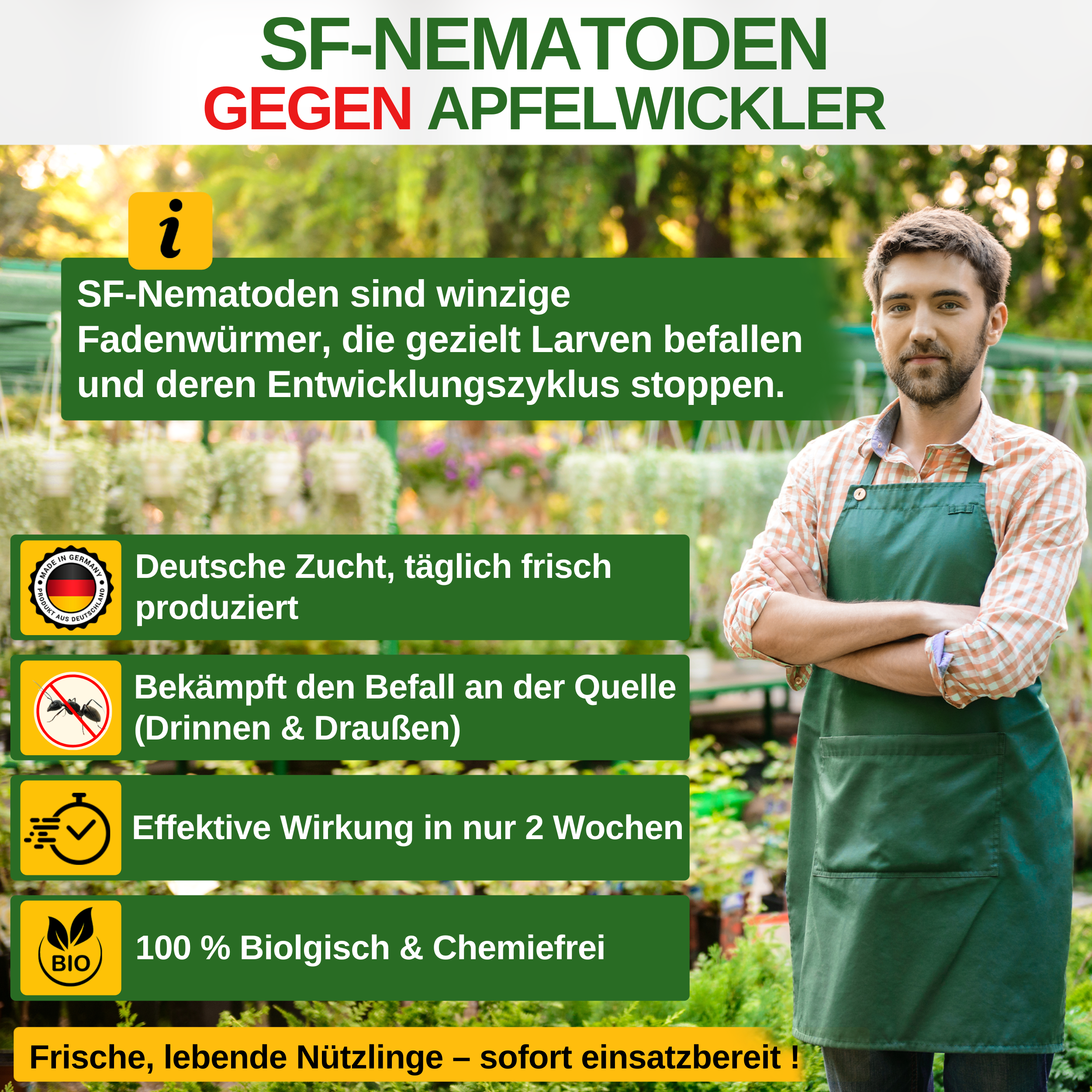 Nématodes SF contre le carpocapse