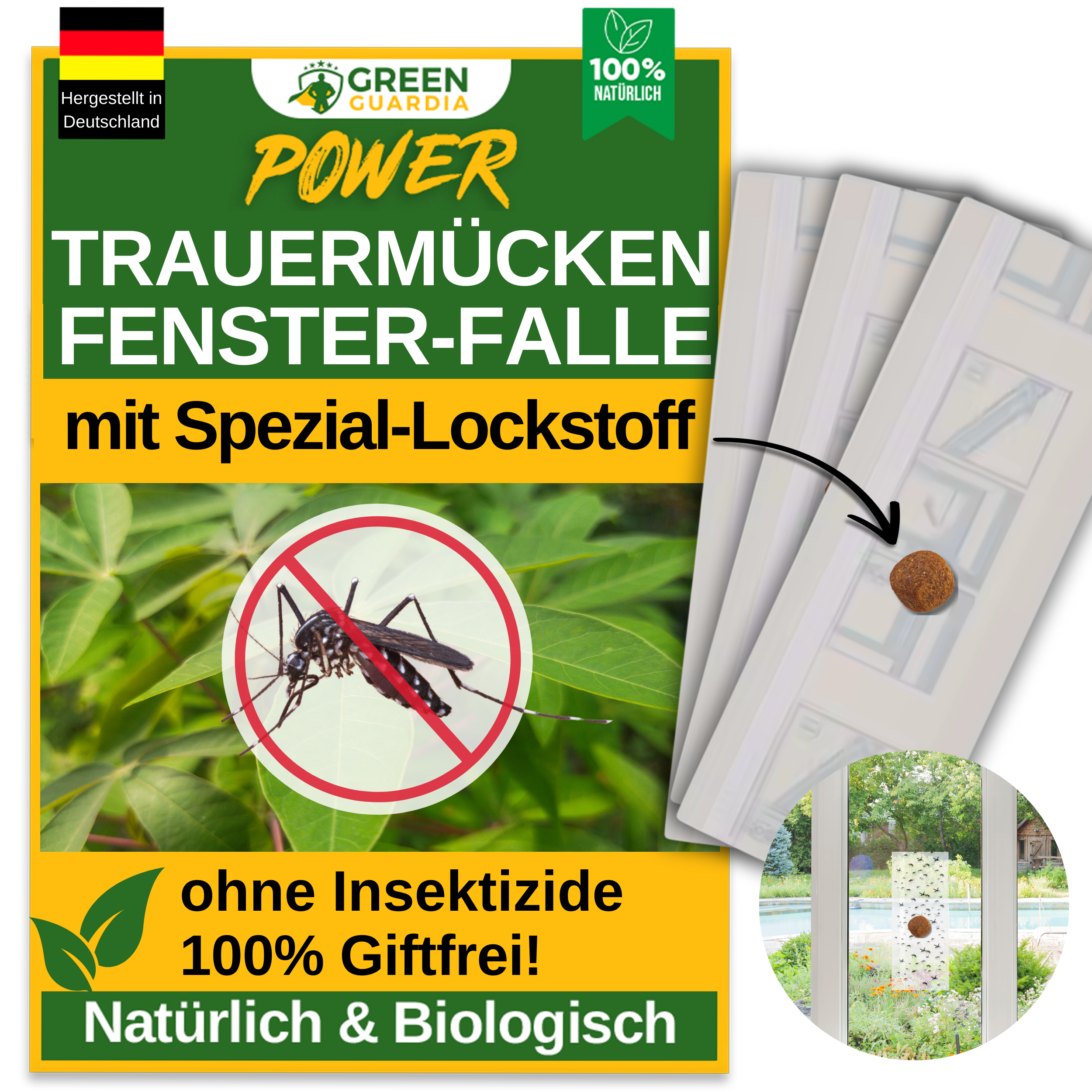 Fungus gnat window trap with special attractant