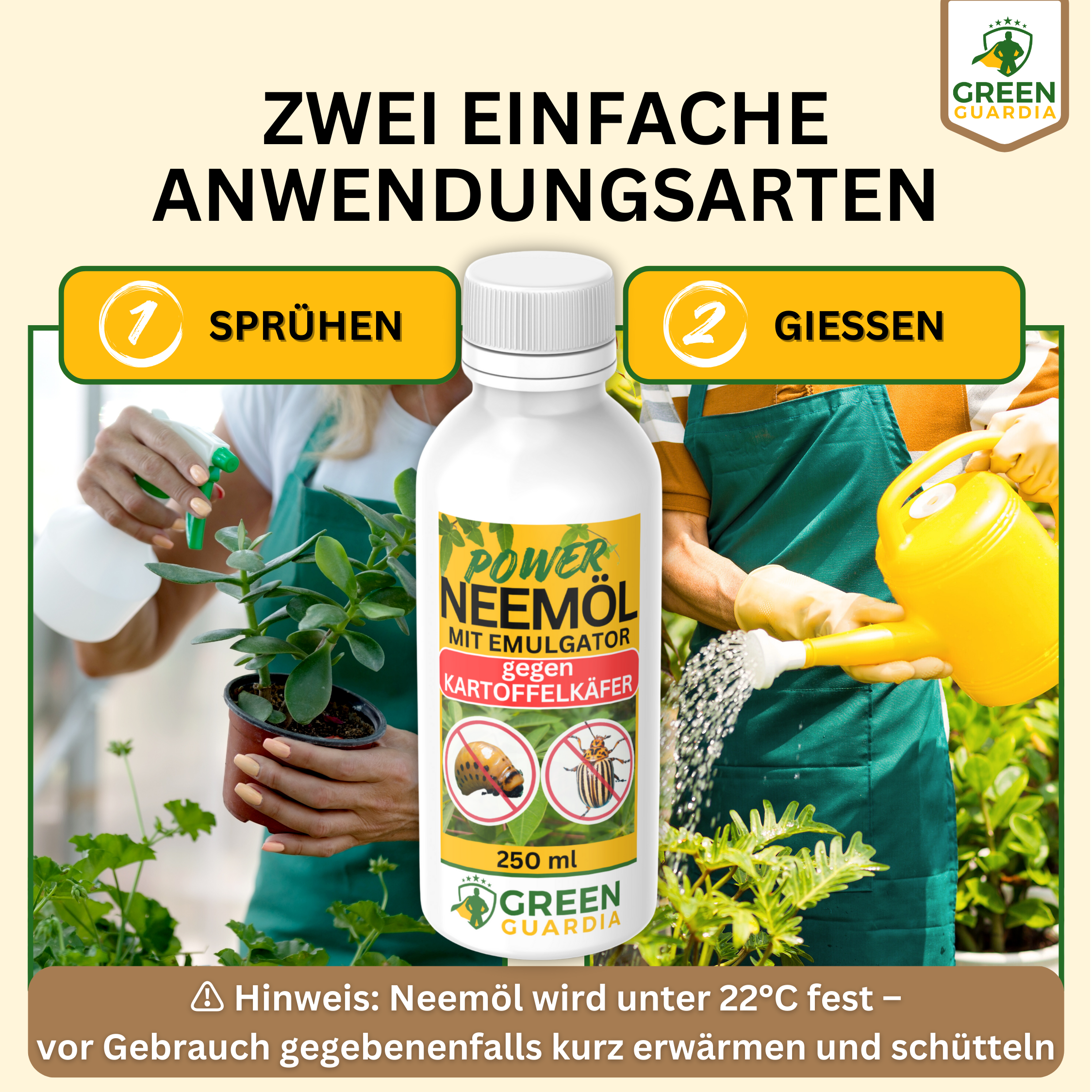Huile de Neem puissante contre les doryphores