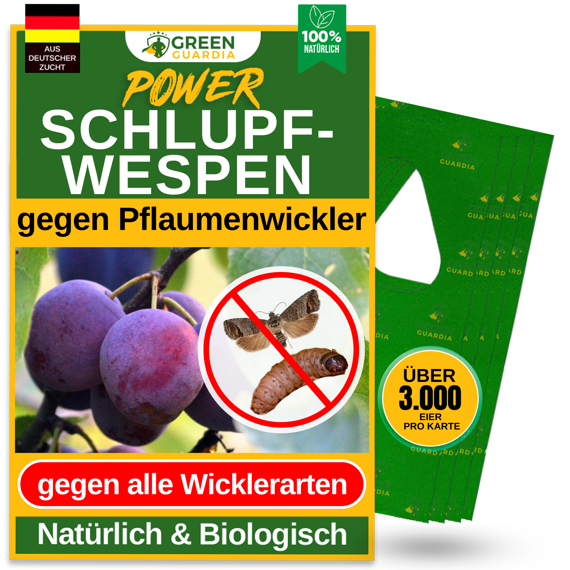 Guêpes parasites contre la teigne des prunes
