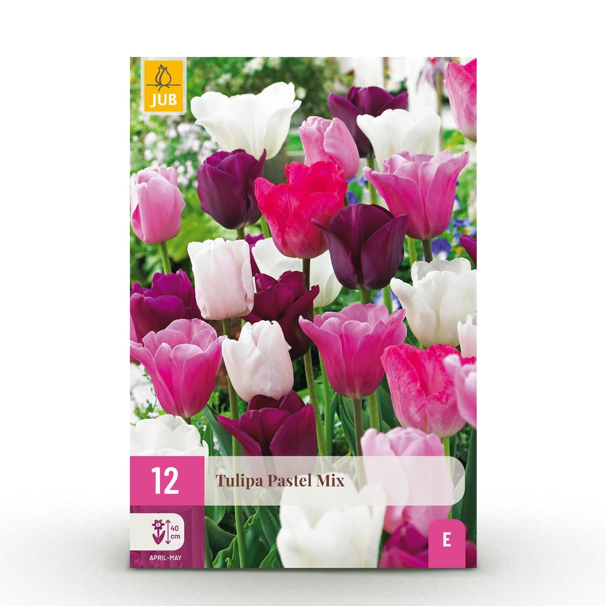 Blumenzwiebeln – Tulpe Pastel Mix – winterhart & mehrjährig – verschiedene Farben – 12 Stück – Zwiebelgröße 11/12 – XXL Pack - Green Guardia - Ihr Experte für Schädlinge und Pflanzen