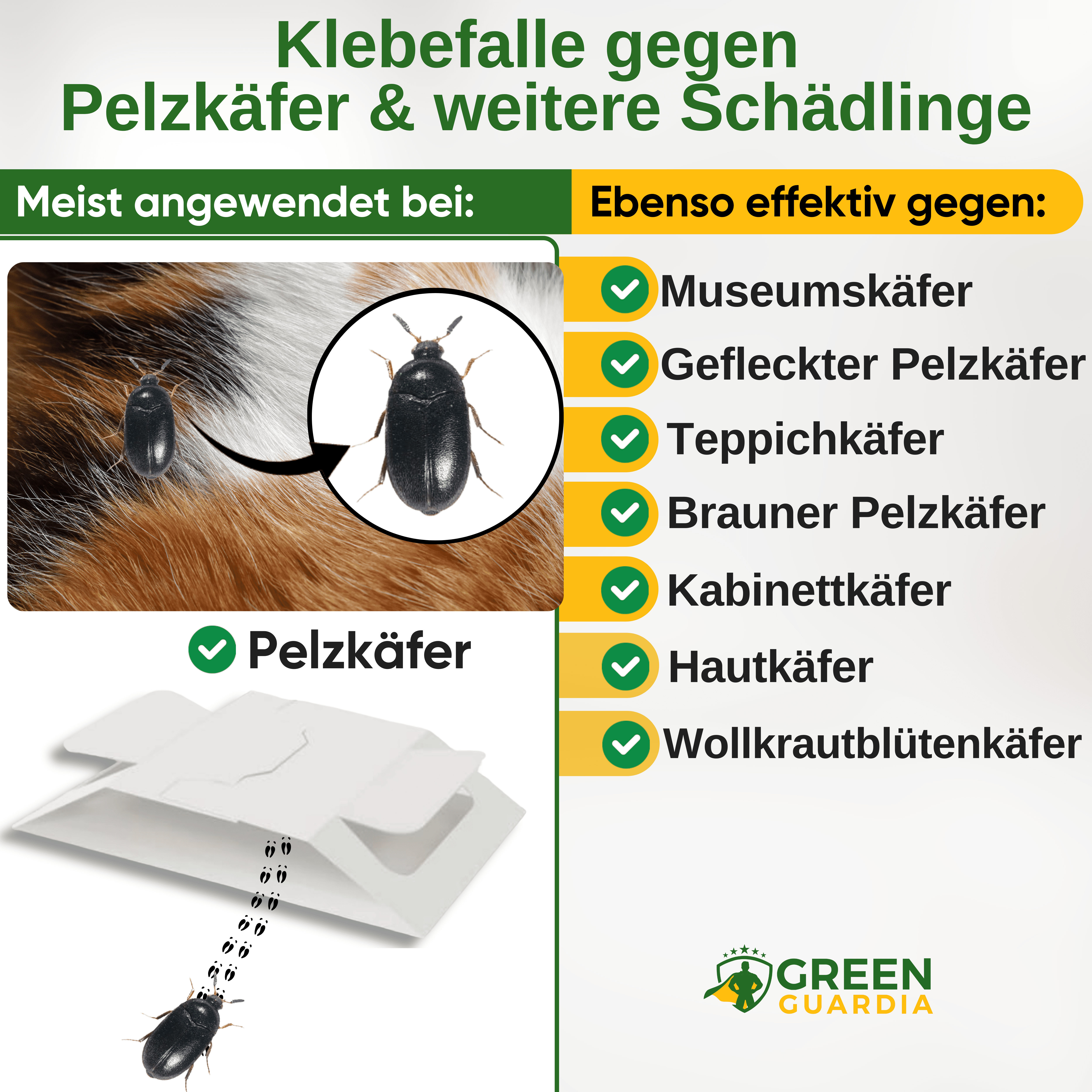 Pelzkäfer Falle mit Spezial - Lockstoff - Green Guardia - Ihr Experte für Schädlinge und Pflanzen