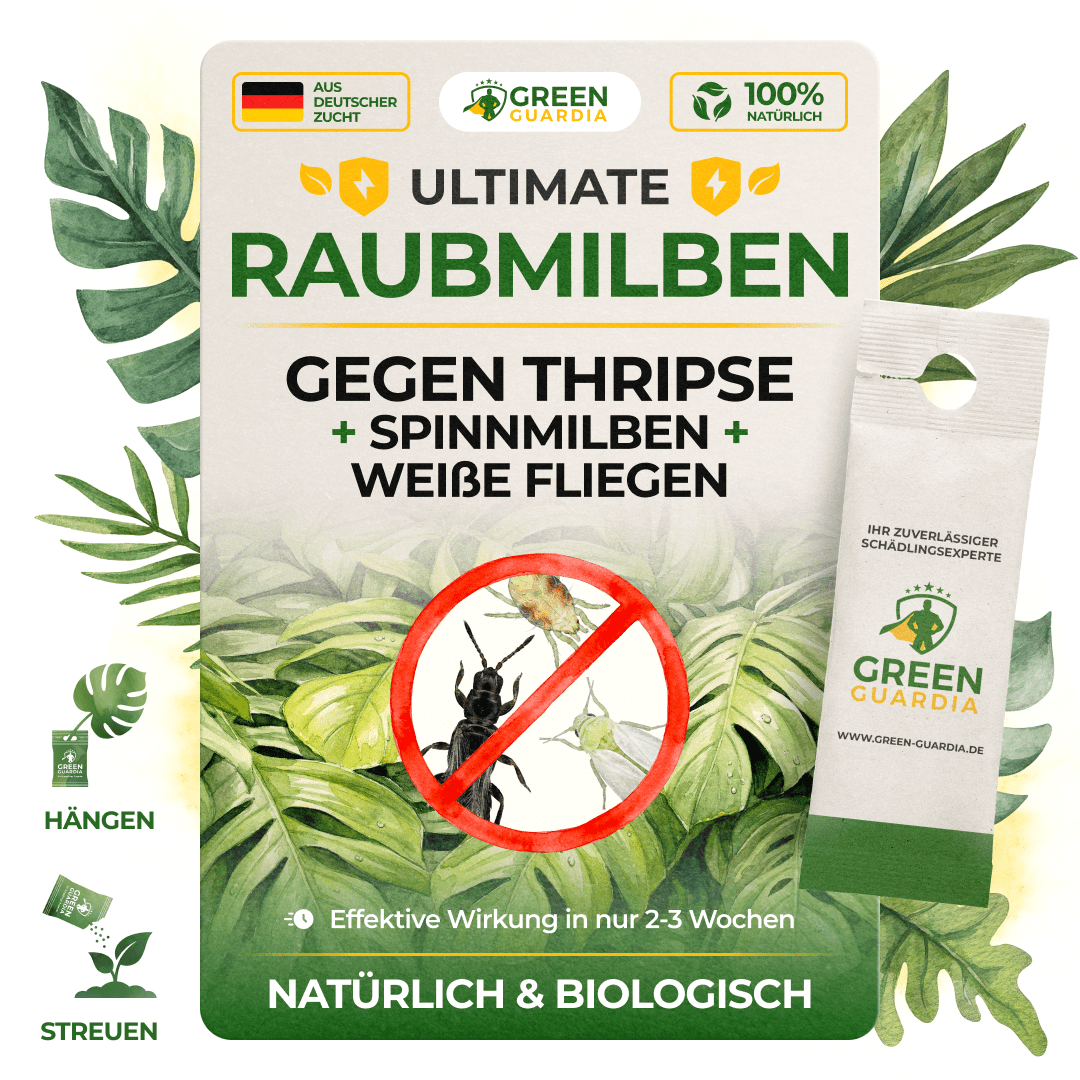 Ultimate Raubmilben gegen Thripse, Spinnmilben & Weiße Fliegen - Green Guardia - Ihr Experte für Schädlinge und Pflanzen