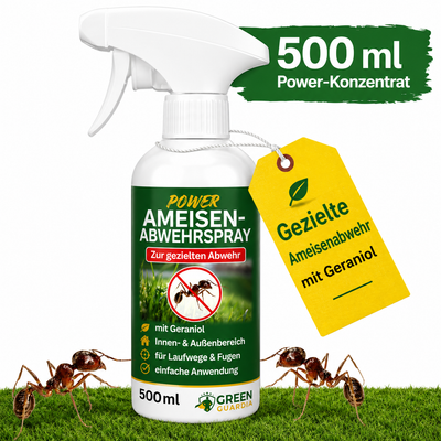 Spray repelente de hormigas concentrado
