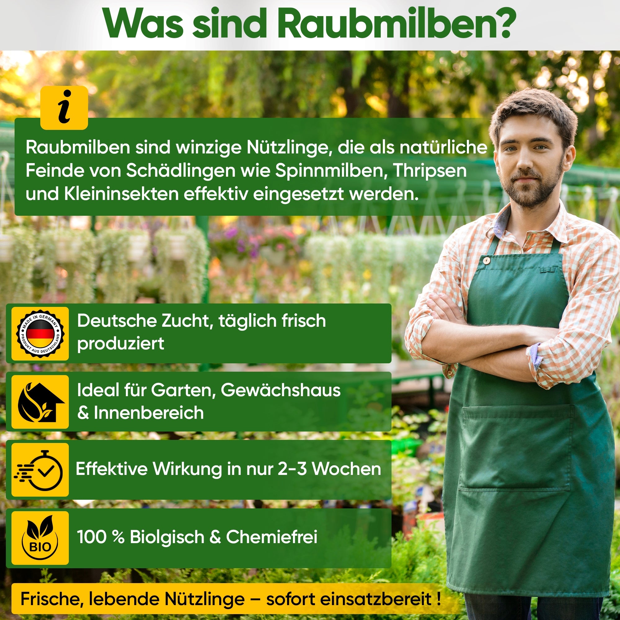 Raubmilben gegen Spinnmilben – Streuware