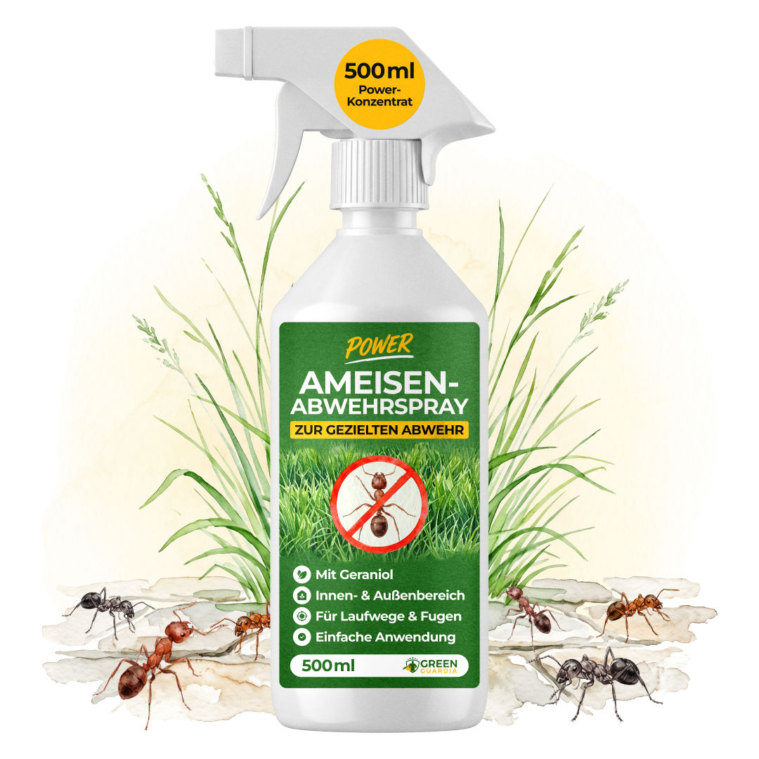 Spray anti-fourmis concentré-500 ml