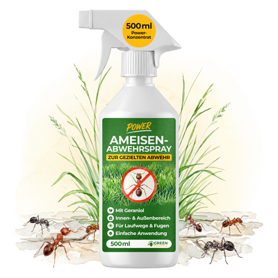 Spray anti-fourmis concentré-500 ml