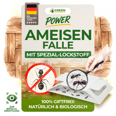 Piège à fourmis avec attractif spécial 