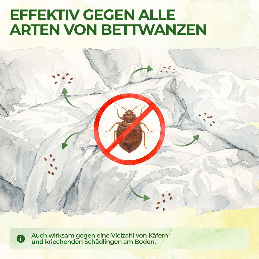 Bettwanzen Falle - Green Guardia - Ihr Experte für Schädlinge und Pflanzen