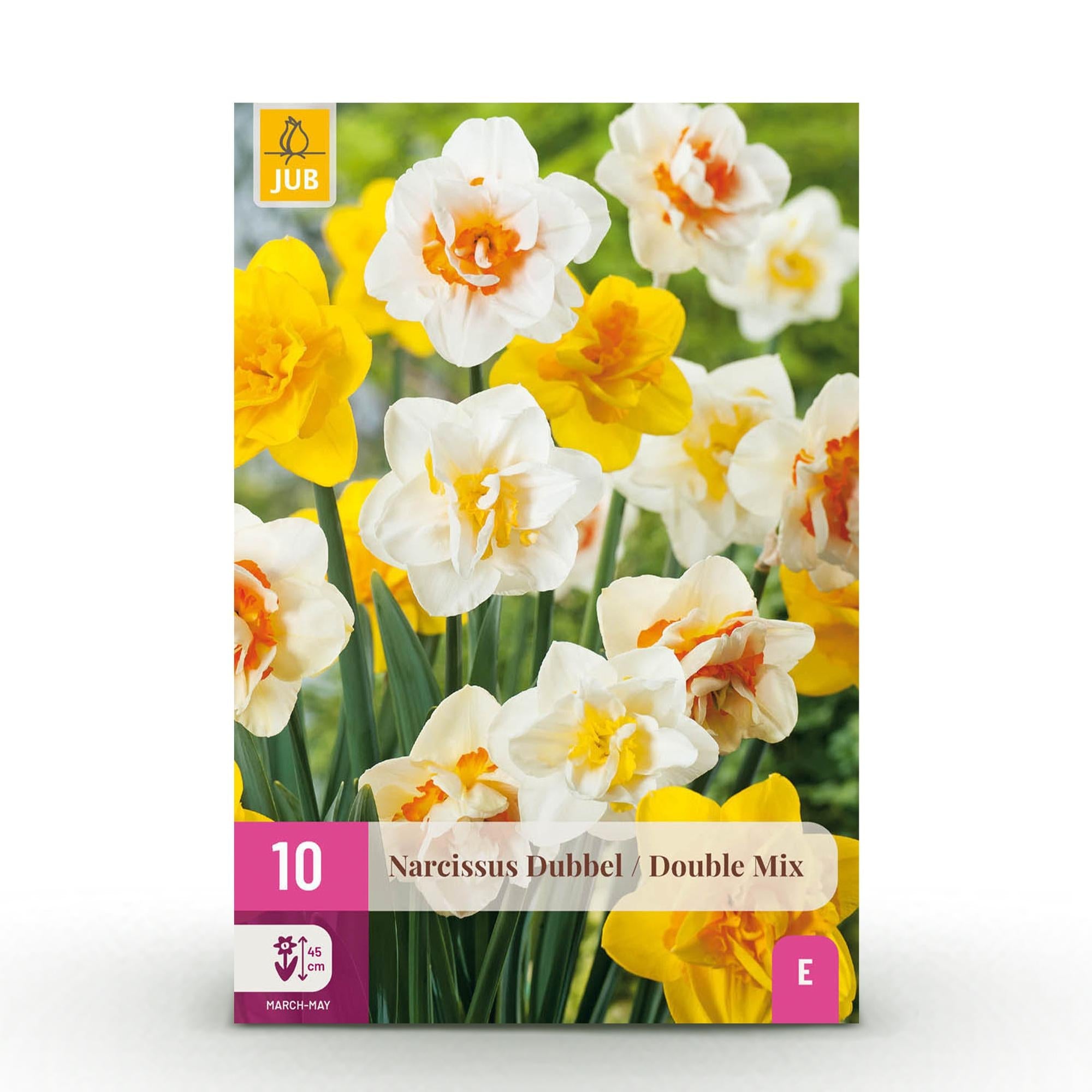 Blumenzwiebeln – Narcissus Double Mix – winterhart & mehrjährig – gelb & weiß – 10 Stück – Zwiebelgröße 12/14 – XXL Pack - Green Guardia - Ihr Experte für Schädlinge und Pflanzen