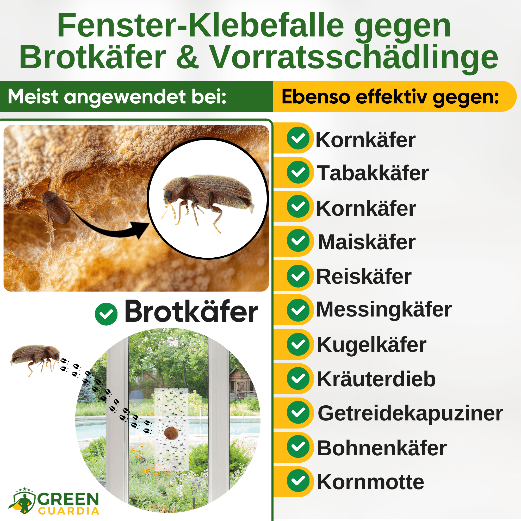 Brotkäfer Fenster - Falle mit Spezial - Lockstoff - Green Guardia - Ihr Experte für Schädlinge und Pflanzen