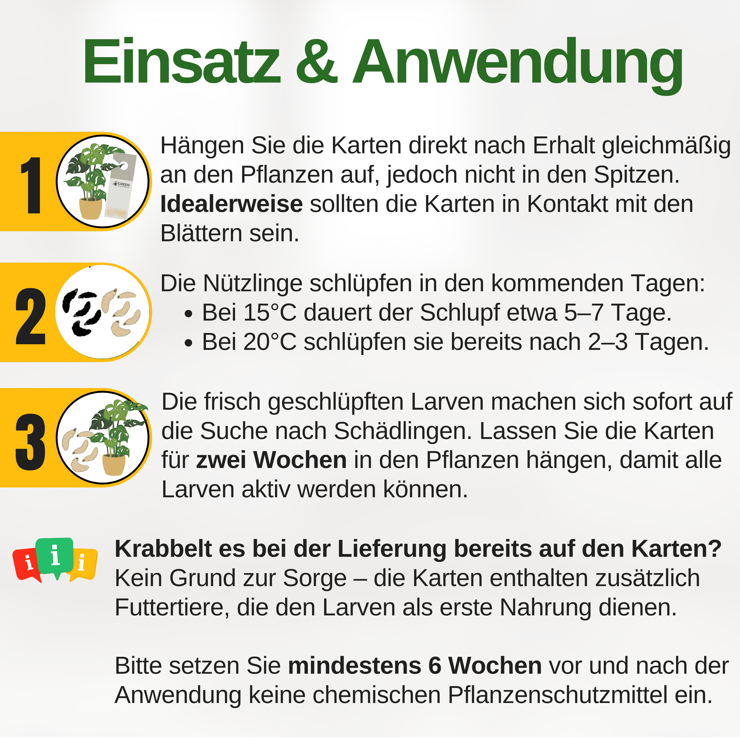 Florfliegenlarven - Eier gegen Blattläuse, Wollläuse zum Aufhängen - Green Guardia - Ihr Experte für Schädlinge und Pflanzen