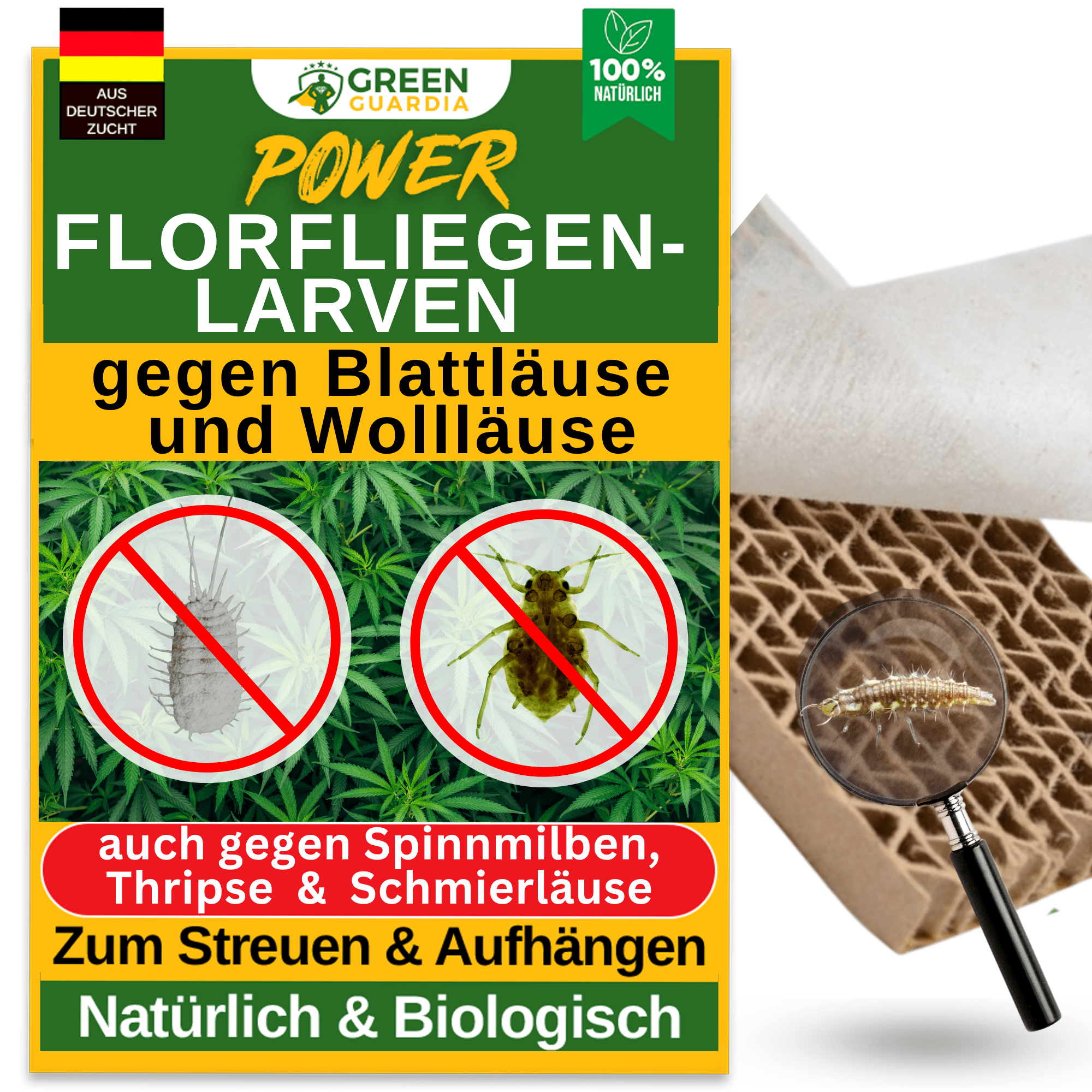 Florfliegenlarven gegen Blattläuse und Wollläuse - Green Guardia - Ihr Experte für Schädlinge und Pflanzen