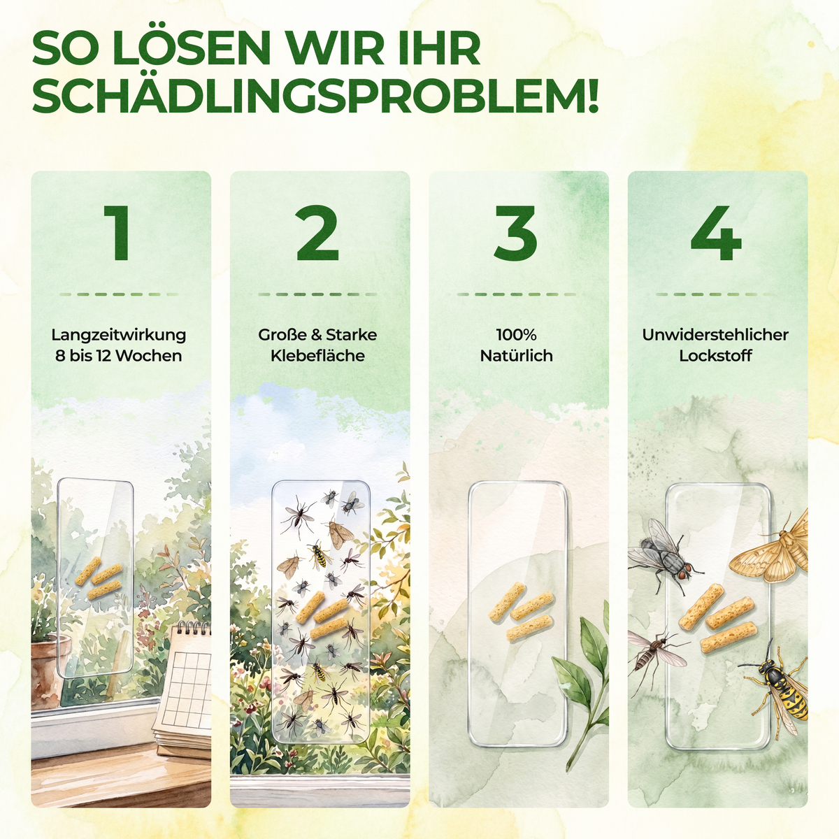 Flying insect window trap