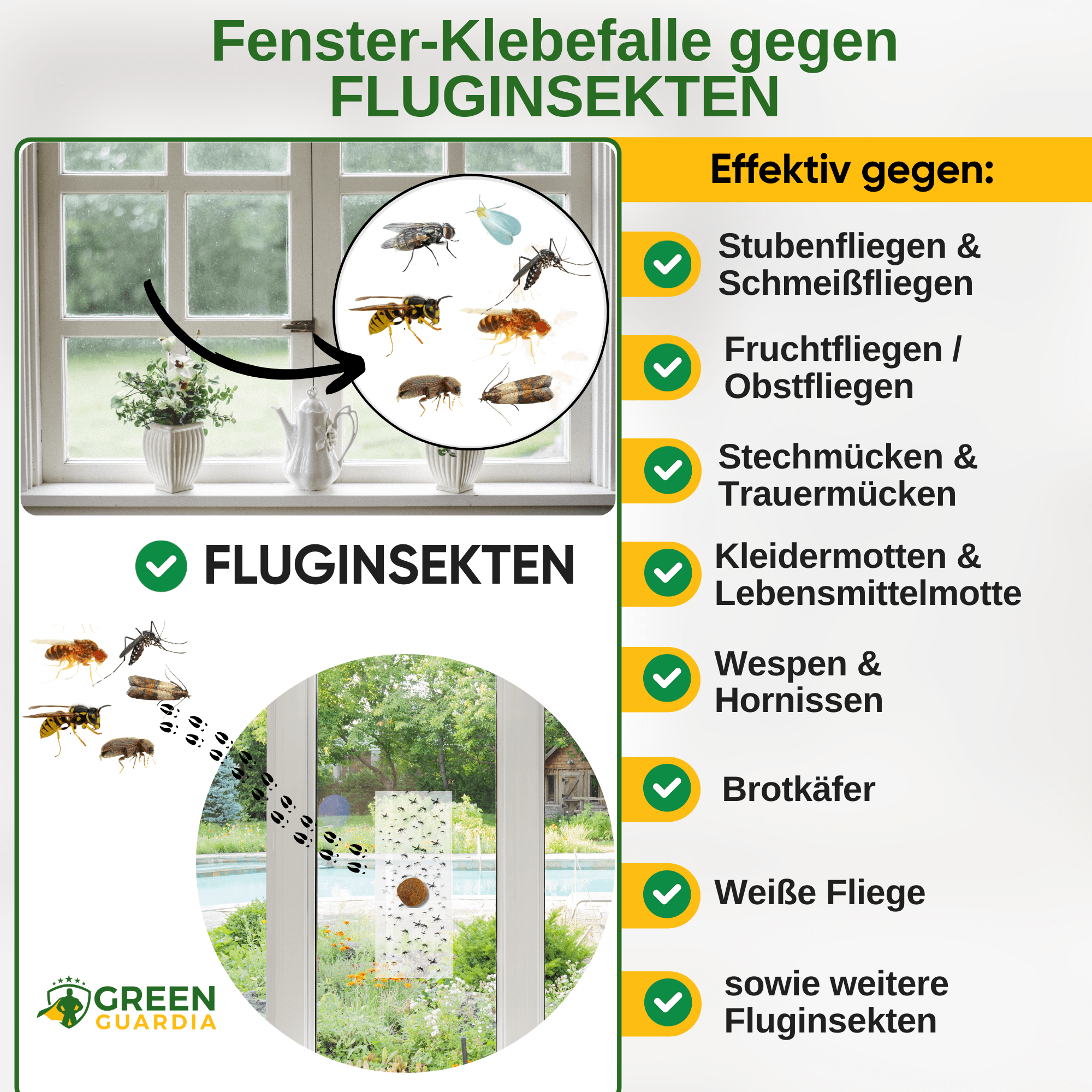 Fluginsekten Fenster - Falle mit Spezial - Lockstoff - Green Guardia - Ihr Experte für Schädlinge und Pflanzen