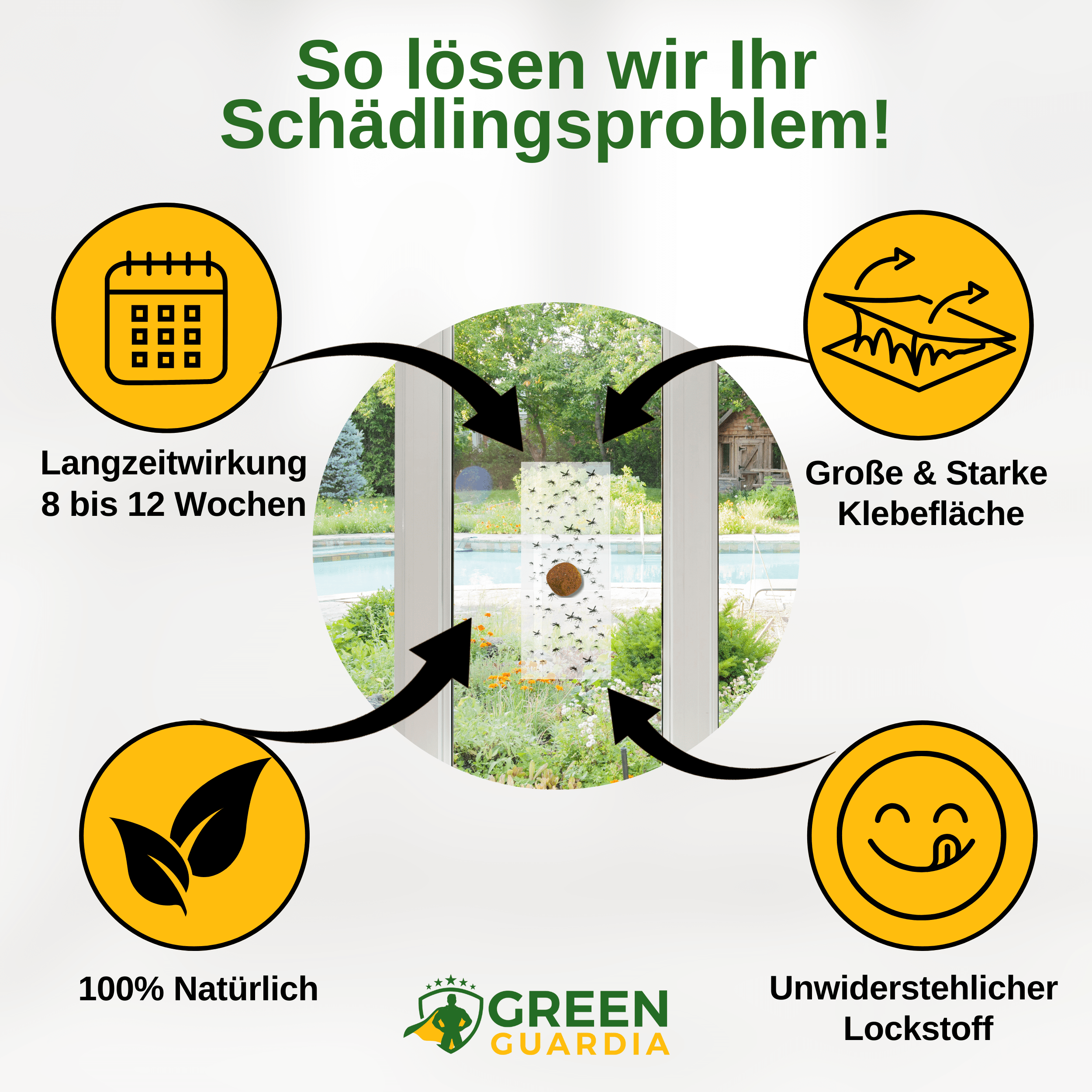 Fruchtfliegen Fenster-Falle mit Spezial - Lockstoff - Green Guardia - Ihr Experte für Schädlinge und Pflanzen