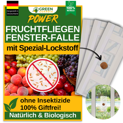 Fruchtfliegen Fenster - Falle mit Spezial - Lockstoff - Green Guardia - Ihr Experte für Schädlinge und Pflanzen