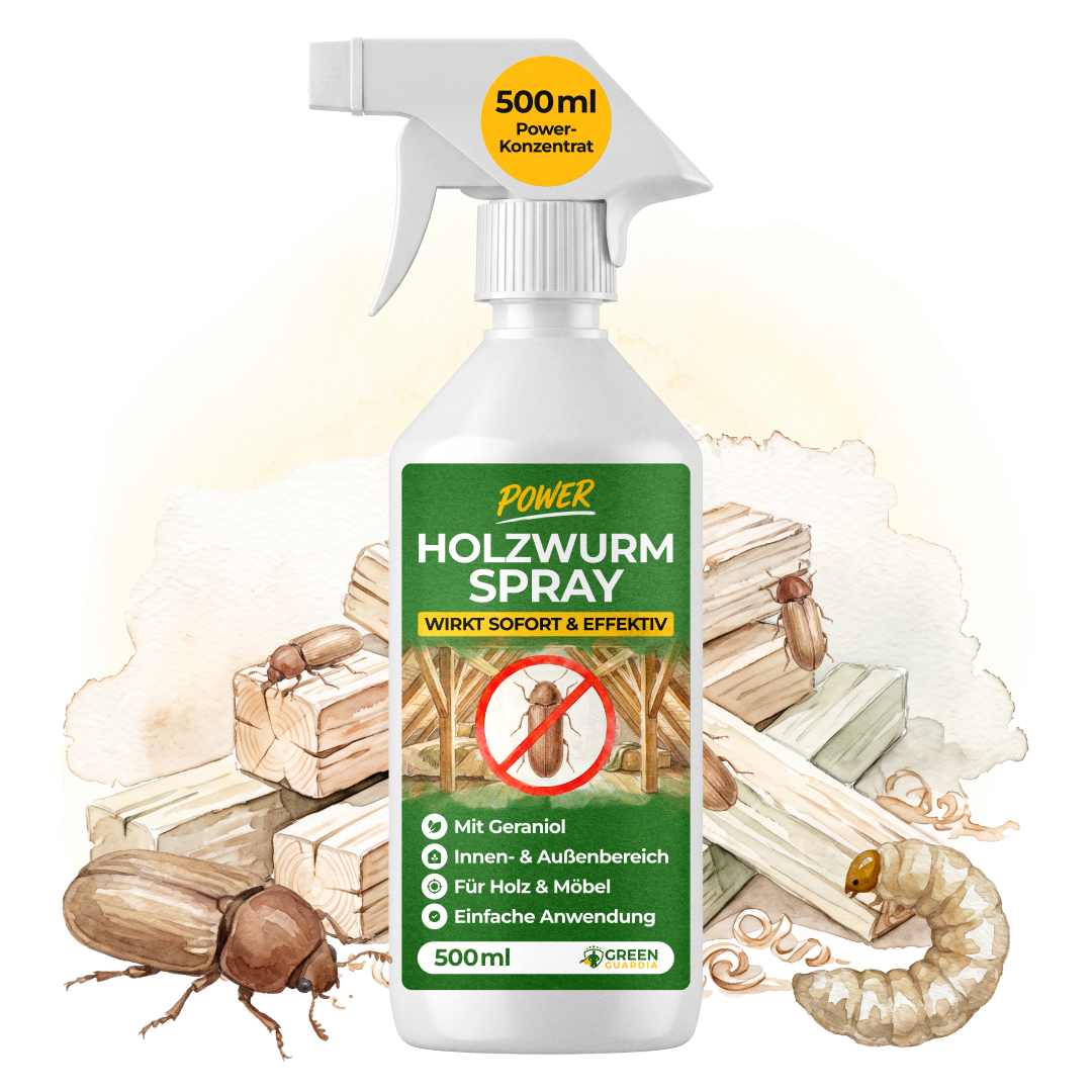 Spray concentré anti-insectes xylophages-500 ml
