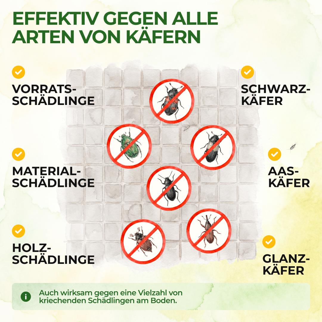 Käfer Falle - Green Guardia - Ihr Experte für Schädlinge und Pflanzen