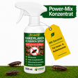 Kakerlaken / Schaben-Abwehrspray Power-Konzentrat