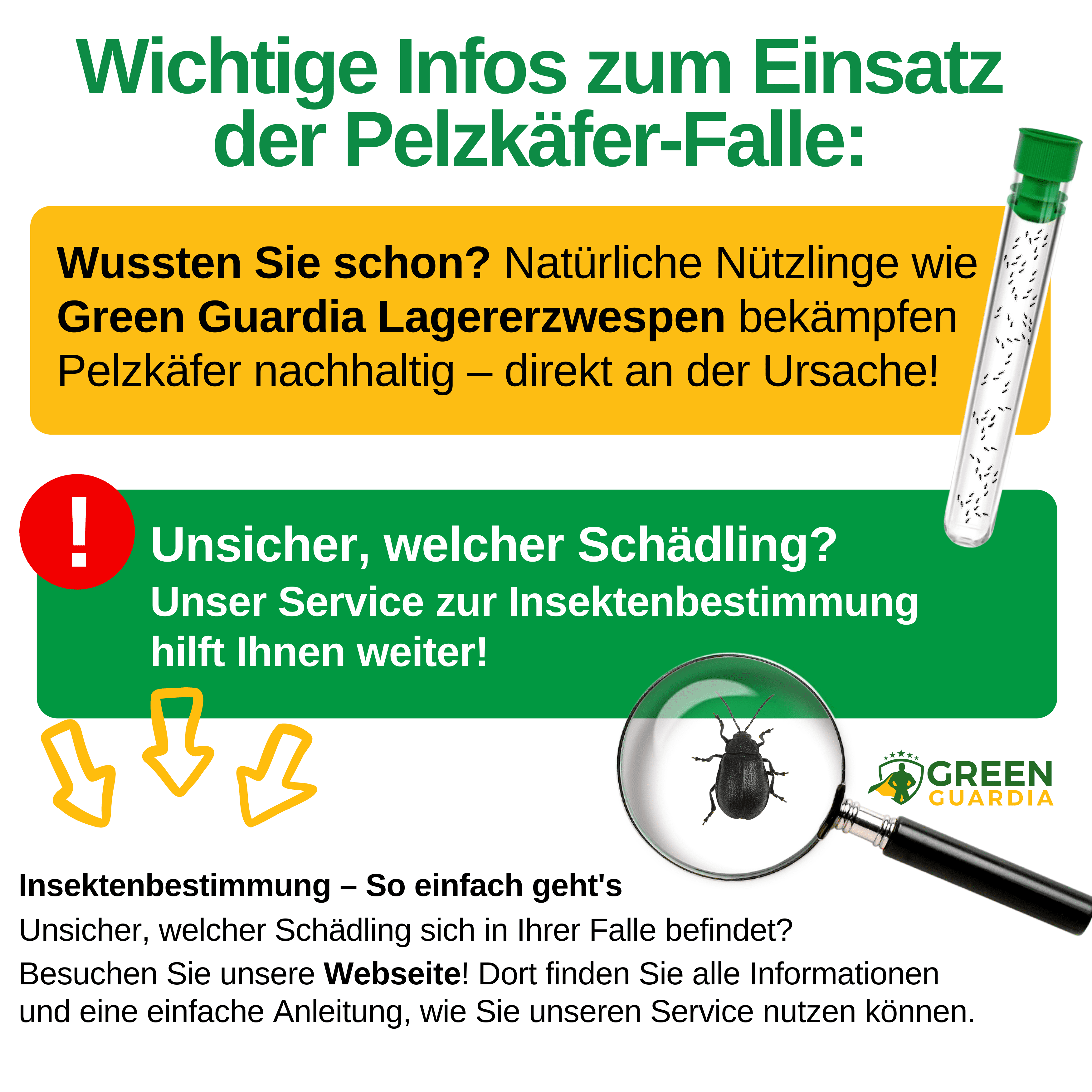 Pelzkäfer Falle mit Spezial - Lockstoff - Green Guardia - Ihr Experte für Schädlinge und Pflanzen