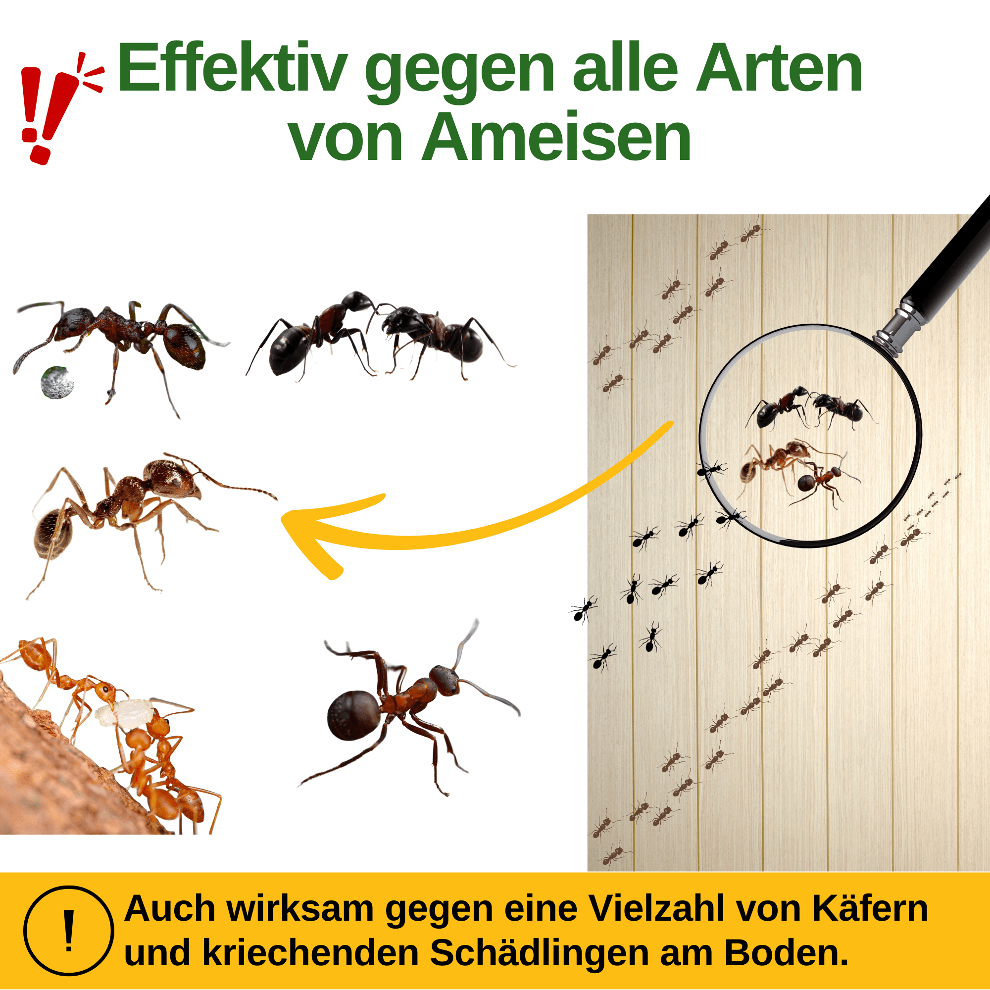 Power Neemöl gegen Ameisen - Green Guardia - Ihr Experte für Schädlinge und Pflanzen