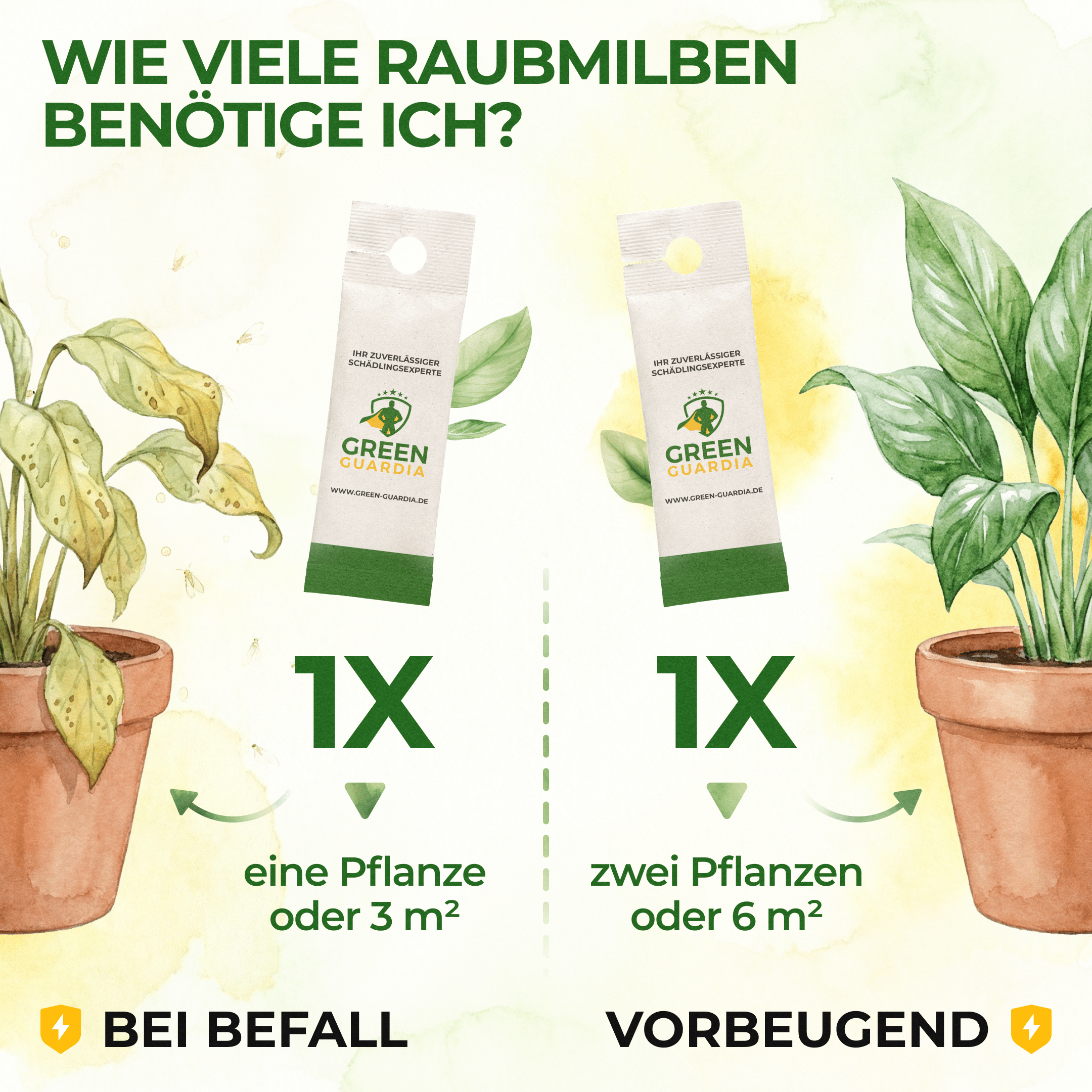 Raubmilben gegen Spinnmilben - Green Guardia - Ihr Experte für Schädlinge und Pflanzen