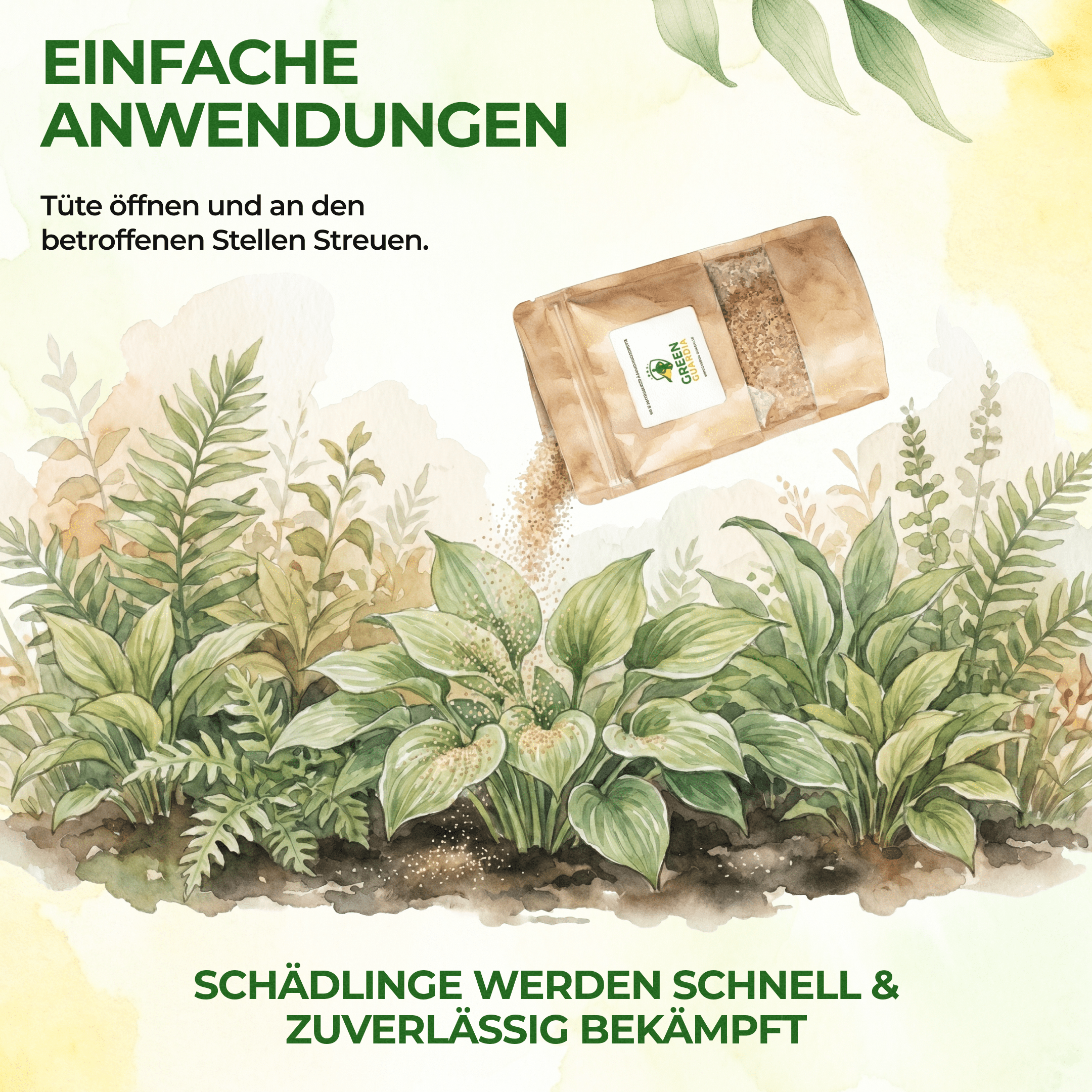 Raubmilben gegen Spinnmilben - Green Guardia - Ihr Experte für Schädlinge und Pflanzen