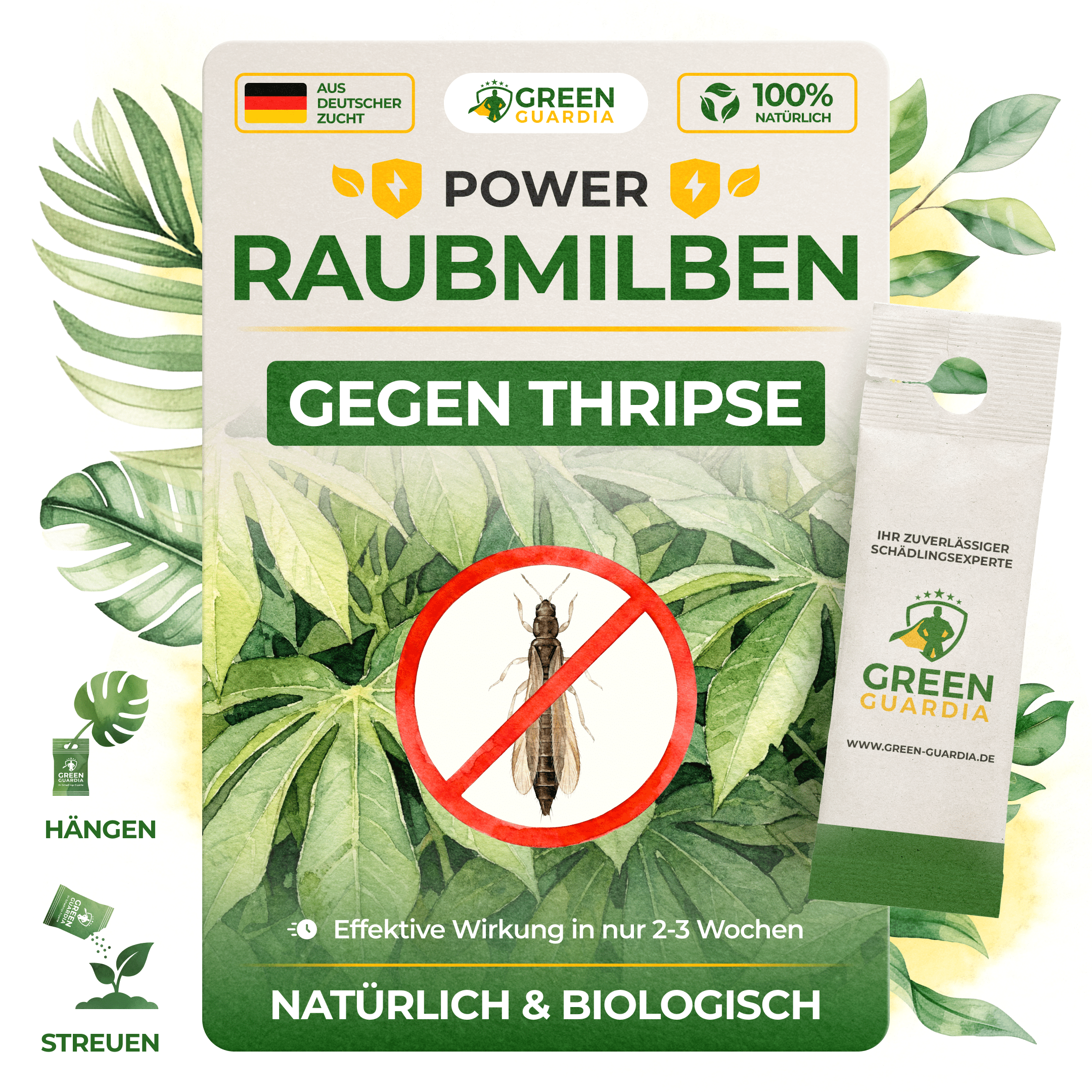Raubmilben gegen Thripse - Green Guardia - Ihr Experte für Schädlinge und Pflanzen