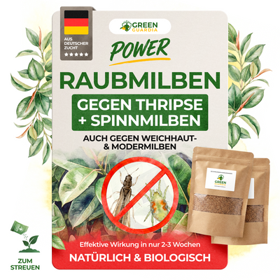 Raubmilben Mix gegen Thripse & Spinnmilben
