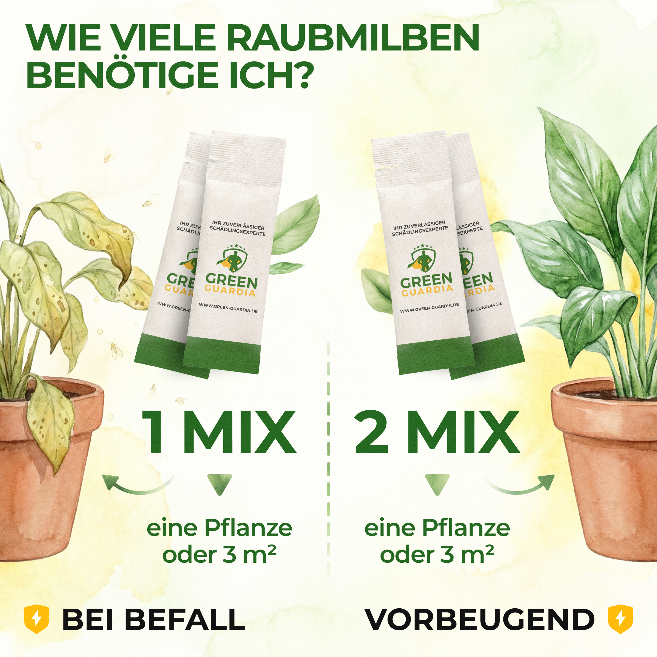 Mélange d'acariens prédateurs contre les thrips et les tétranyques à suspendre ou à disperser 