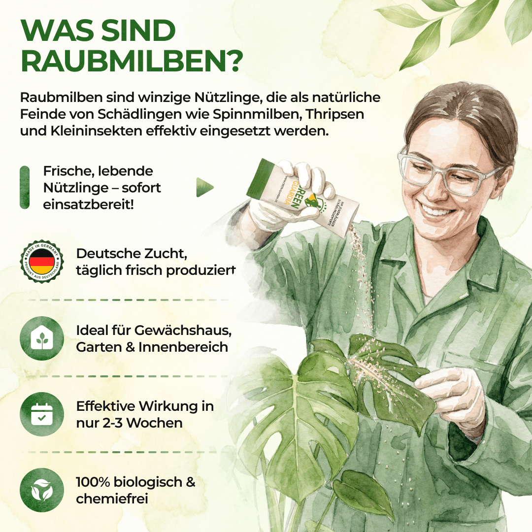 Raubmilben Mix gegen Thripse & Spinnmilben - Green Guardia - Ihr Experte für Schädlinge und Pflanzen