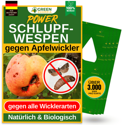 Schlupfwespen gegen Apfelwickler - Green Guardia - Ihr Experte für Schädlinge und Pflanzen