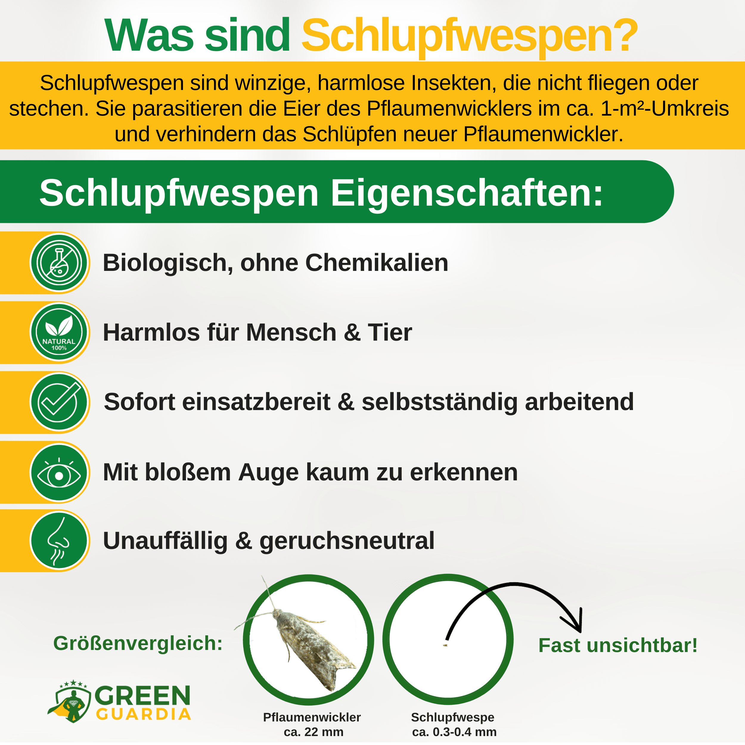 Schlupfwespen gegen Pflaumenwickler - Green Guardia - Ihr Experte für Schädlinge und Pflanzen