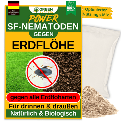 SF - Nematoden gegen Erdflöhe - Green Guardia - Ihr Experte für Schädlinge und Pflanzen