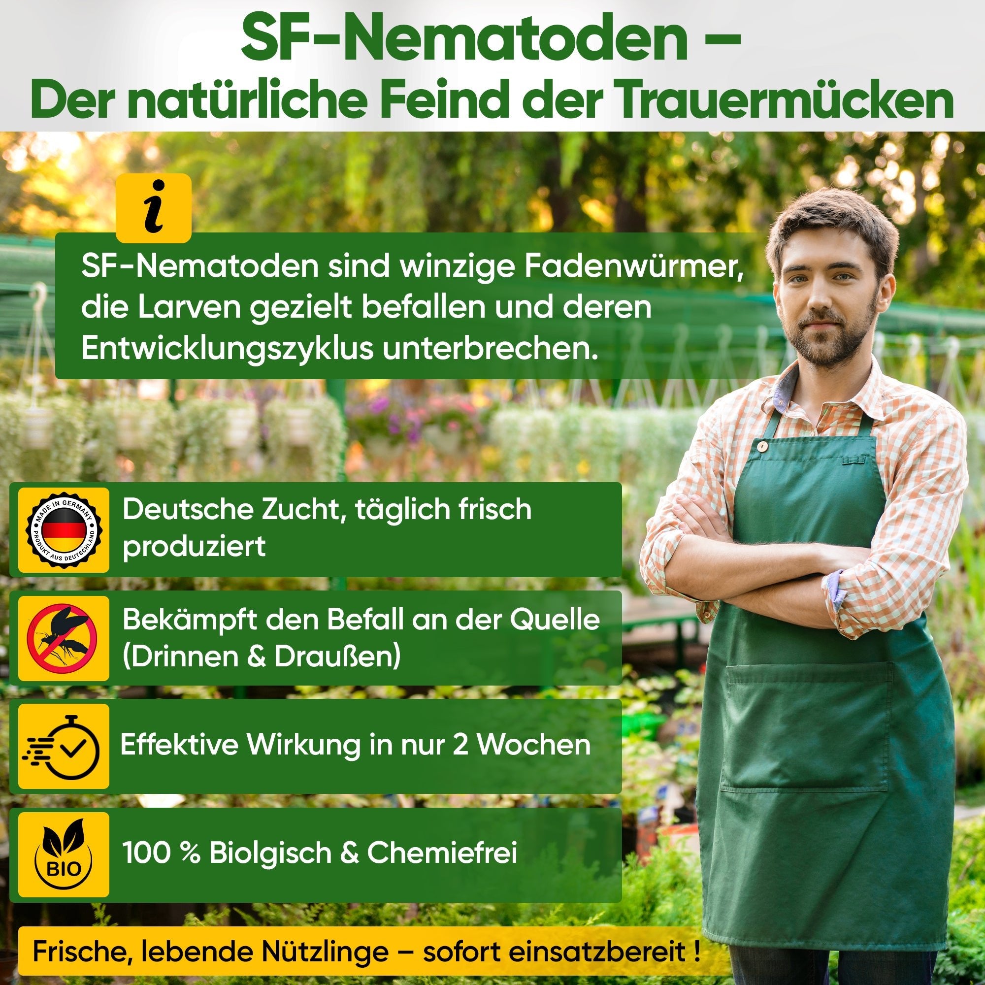 SF - Nematoden gegen Trauermücken, Apfelwickler & Ameisen - Green Guardia - Ihr Experte für Schädlinge und Pflanzen