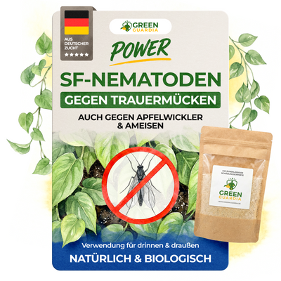 SF nematodes against fungus gnats
