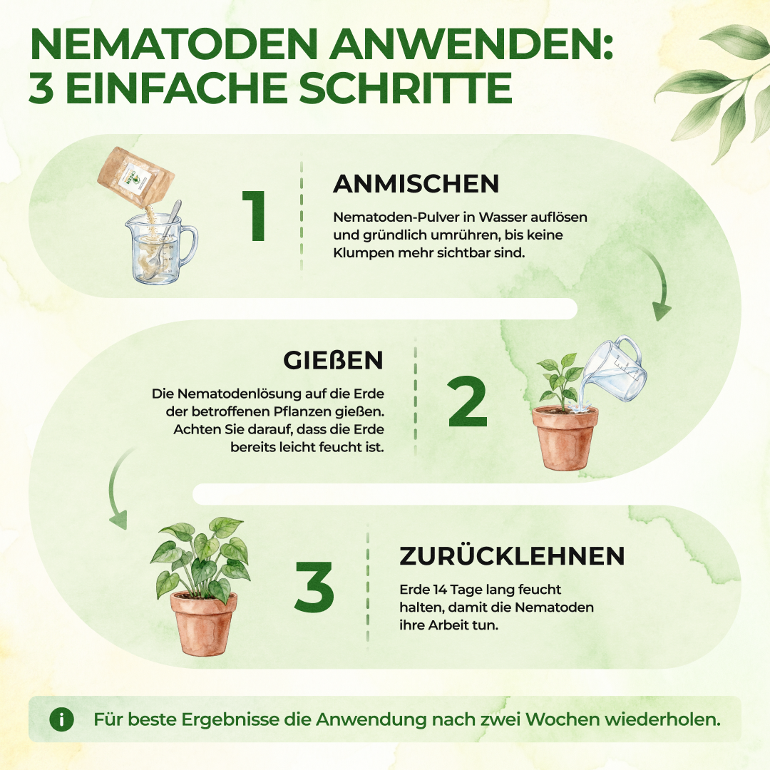 SF-Nematoden gegen Trauermücken