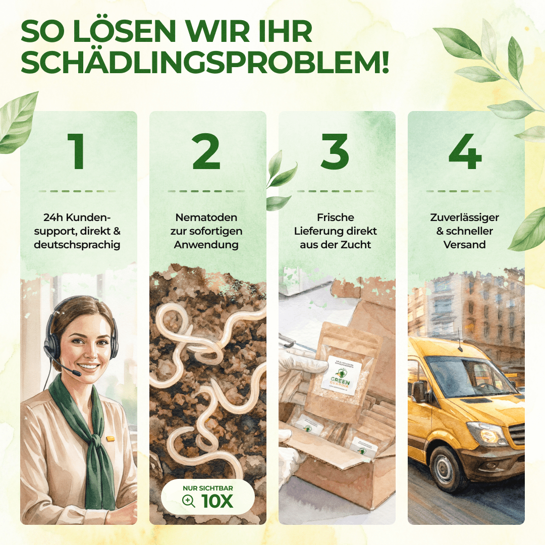 SF - Nematoden gegen Trauermücken - Green Guardia - Ihr Experte für Schädlinge und Pflanzen