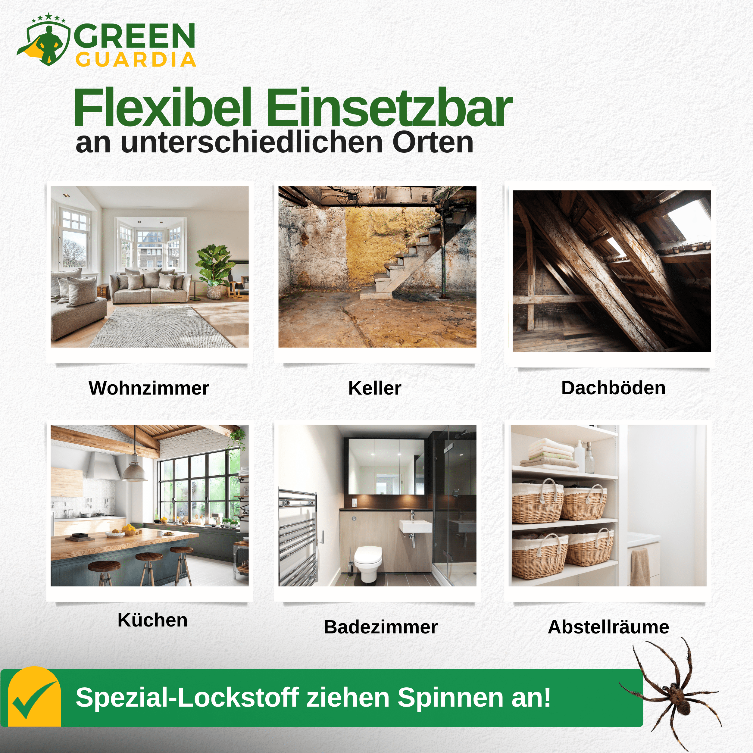 Spinnen Falle mit Spezial - Lockstoff - Green Guardia - Ihr Experte für Schädlinge und Pflanzen