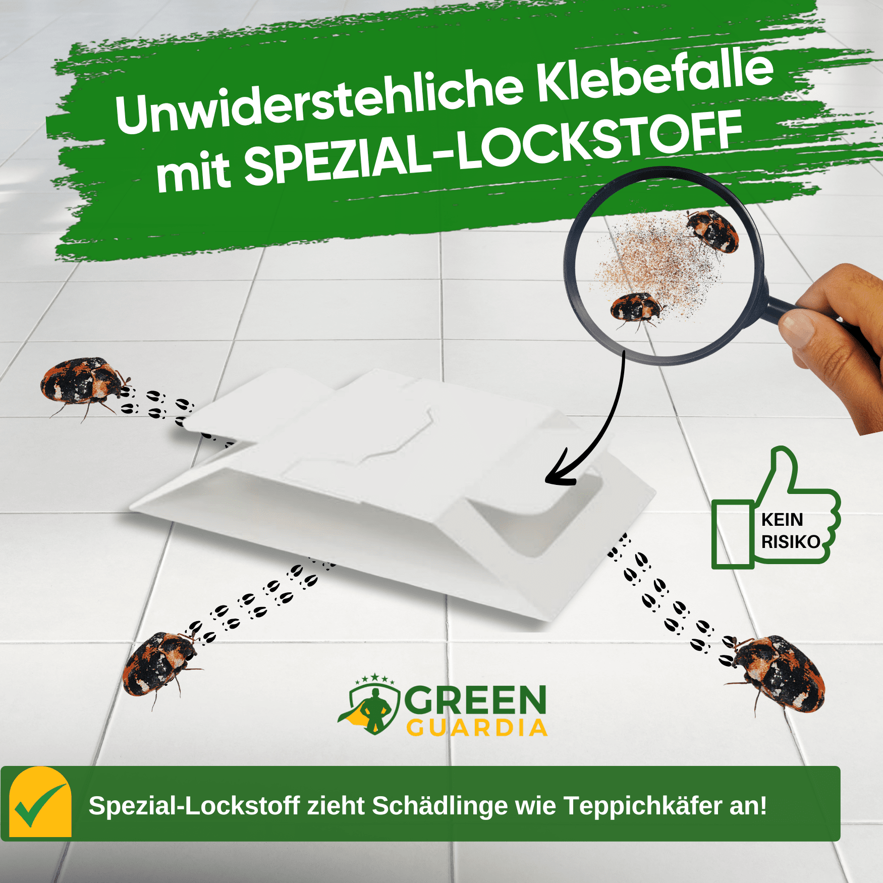 Teppichkäfer Falle mit Spezial - Lockstoff - Green Guardia - Ihr Experte für Schädlinge und Pflanzen