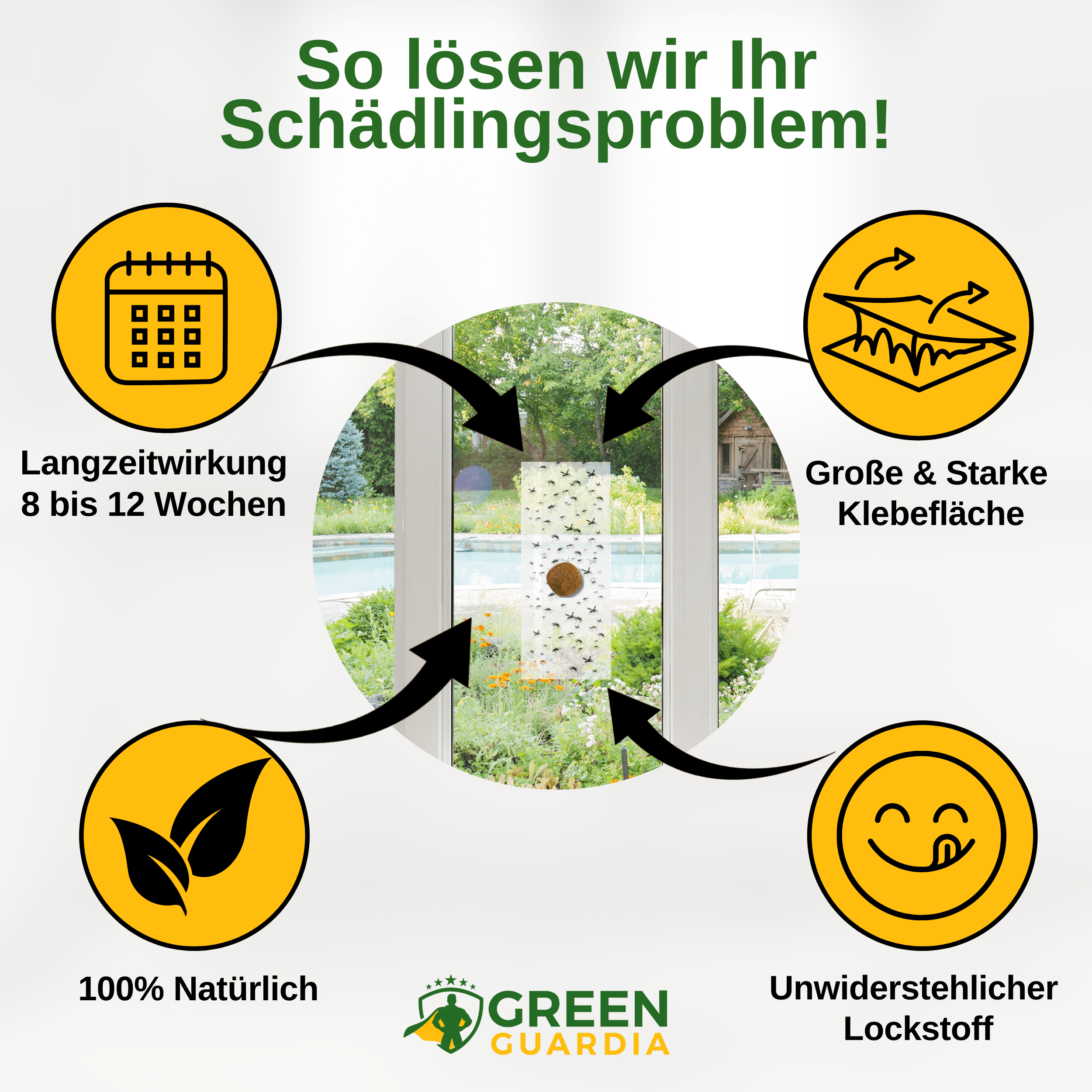 Trauermücken Fenster - Falle mit Spezial - Lockstoff - Green Guardia - Ihr Experte für Schädlinge und Pflanzen
