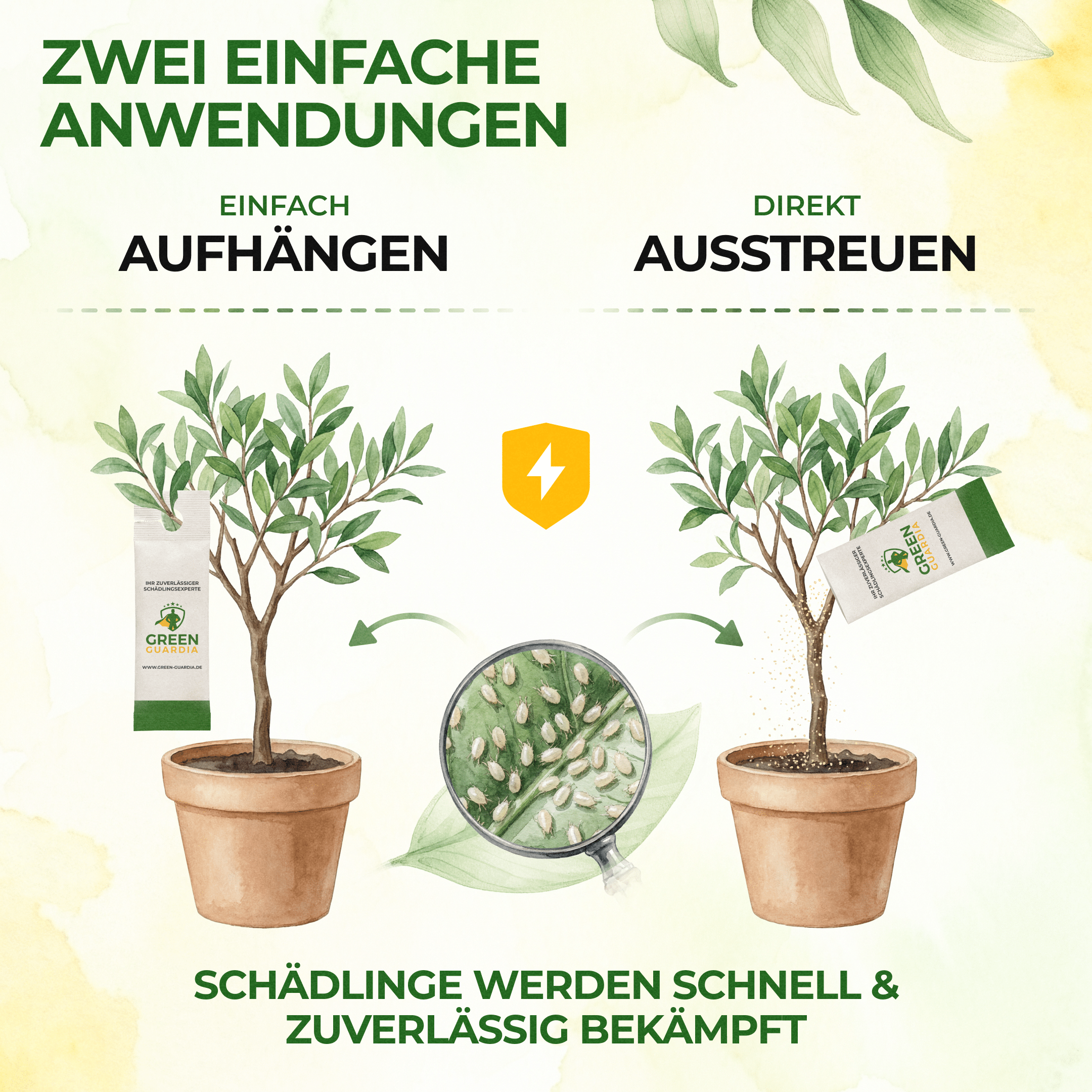 Ultimate Raubmilben gegen Thripse, Spinnmilben & Weiße Fliegen - Green Guardia - Ihr Experte für Schädlinge und Pflanzen