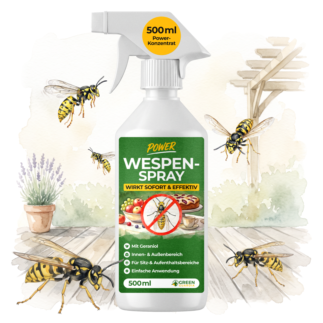 Spray anti-guêpes concentré-500 ml