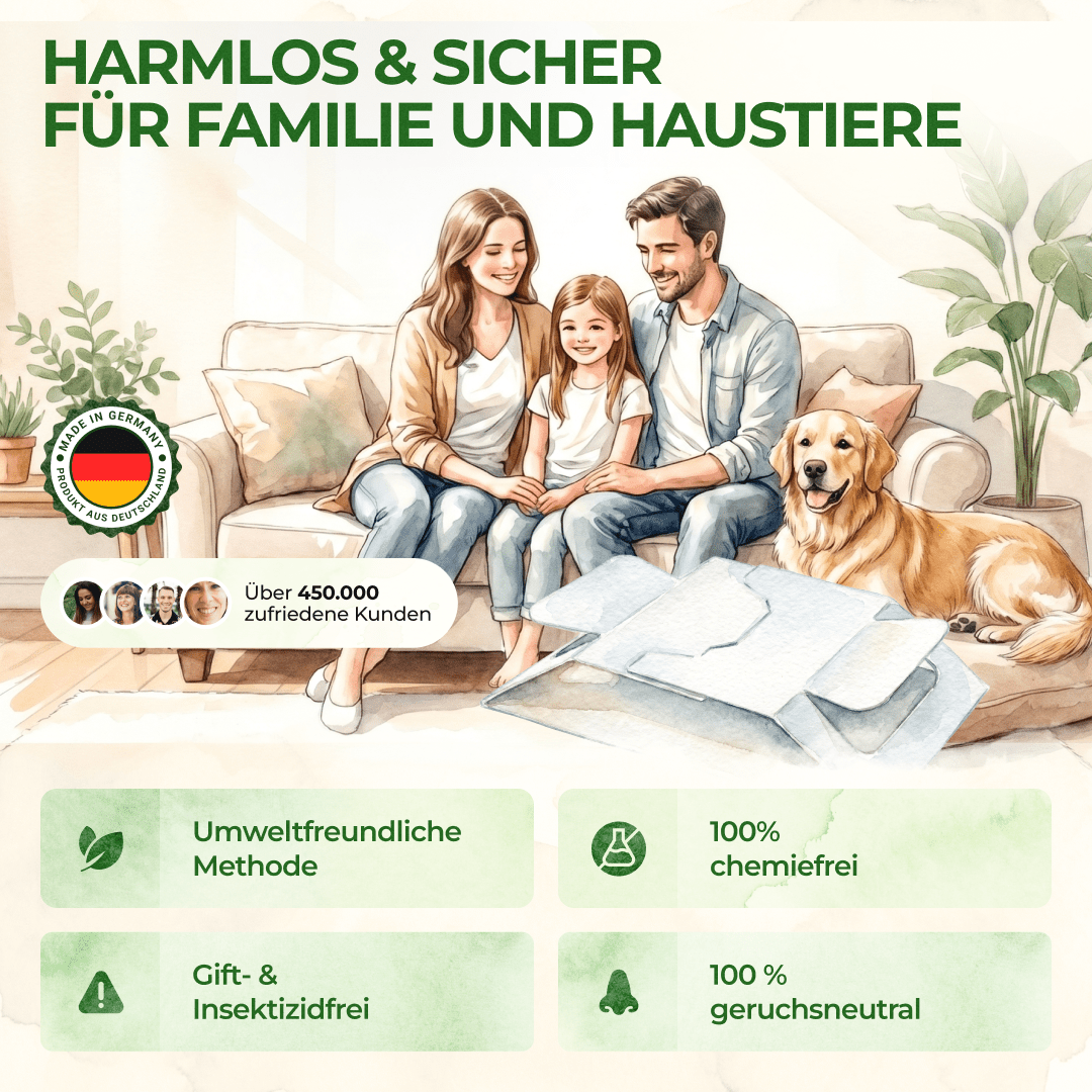 Wollkrautblütenkäfer Falle - Green Guardia - Ihr Experte für Schädlinge und Pflanzen