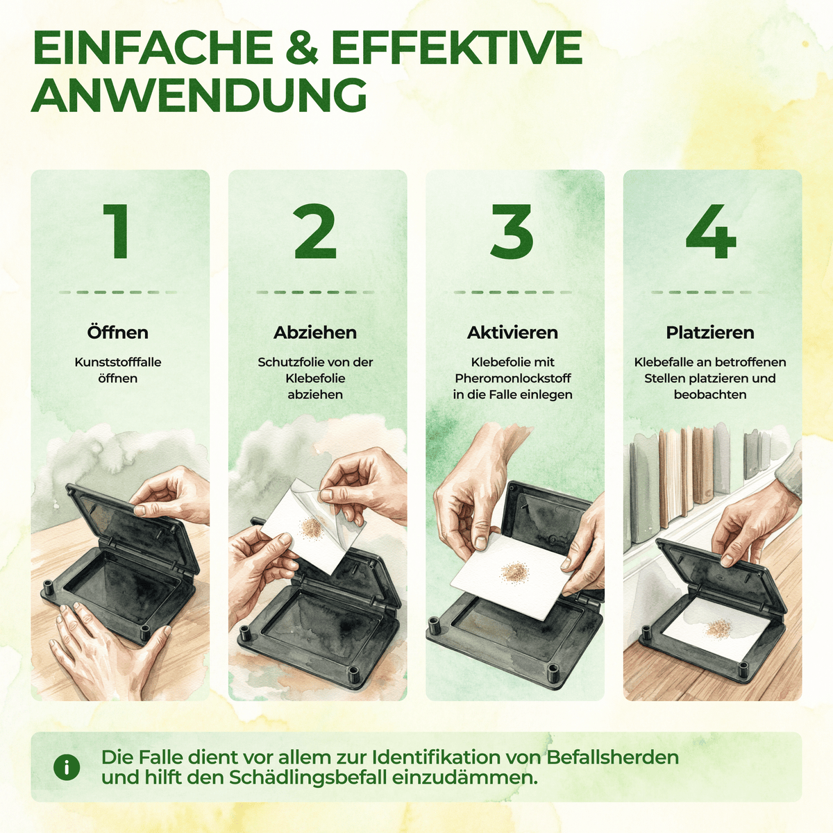 Wollkrautblütenkäfer Falle - Green Guardia - Ihr Experte für Schädlinge und Pflanzen