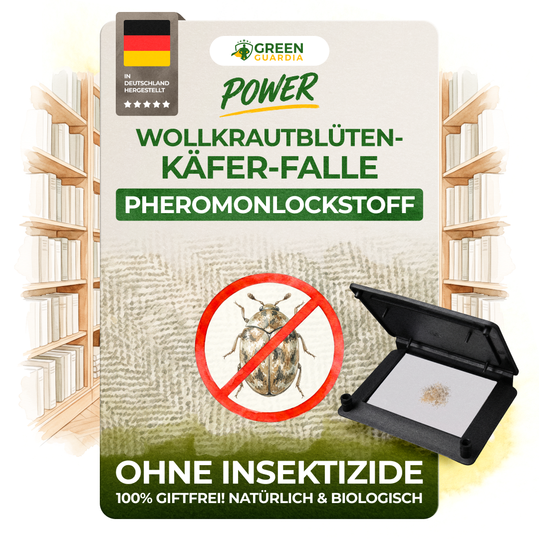 Woolly carpet beetle trap
