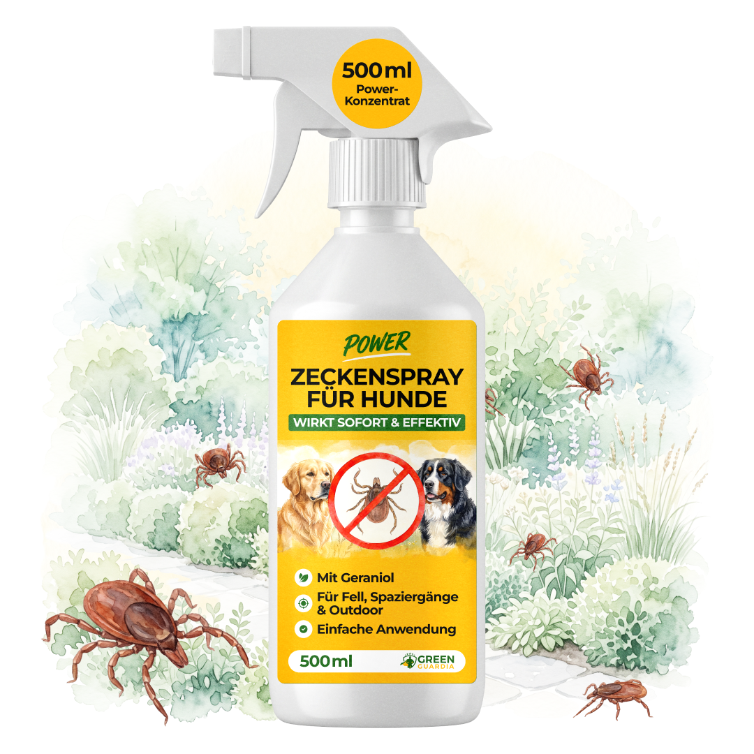 Spray anti-tiques concentré pour chiens-500 ml